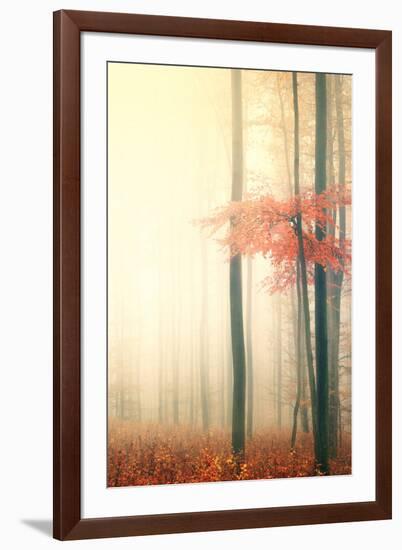 Took His Time-Philippe Sainte-Laudy-Framed Photographic Print