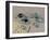 Tools for Chinese Calligraphy-null-Framed Giclee Print