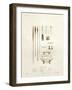 Tools of the Society Islands-Ambroise Tardieu-Framed Giclee Print