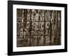 Tools of the Trade-Barry Hart-Framed Art Print