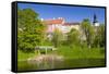 Toompea Hill, Snelli Tiik Lake, Old Town of Tallinn, Estonia, Baltic States, Europe-Nico Tondini-Framed Stretched Canvas