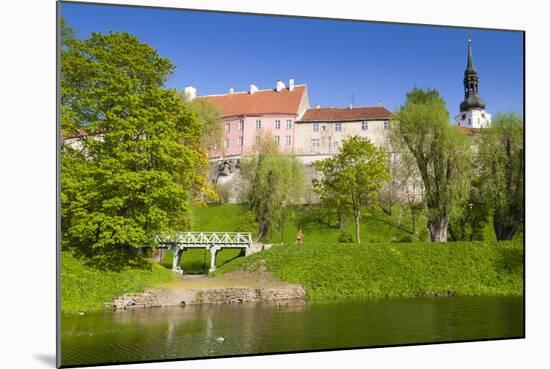 Toompea Hill, Snelli Tiik Lake, Old Town of Tallinn, Estonia, Baltic States, Europe-Nico Tondini-Mounted Photographic Print