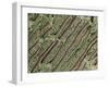 Tooth Dentine, SEM-Steve Gschmeissner-Framed Photographic Print