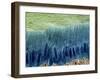 Tooth Enamel Formation, SEM-Steve Gschmeissner-Framed Photographic Print