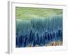 Tooth Enamel Formation, SEM-Steve Gschmeissner-Framed Photographic Print