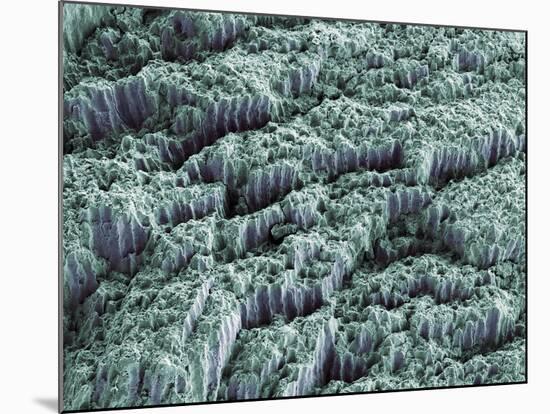 Tooth Enamel, SEM-Steve Gschmeissner-Mounted Photographic Print