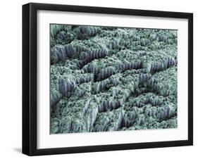 Tooth Enamel, SEM-Steve Gschmeissner-Framed Photographic Print