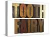 Tooth Fairy-enterlinedesign-Stretched Canvas