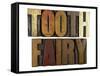 Tooth Fairy-enterlinedesign-Framed Stretched Canvas