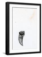 Tooth {Fay-Erie Dust}, 2014-Bella Larsson-Framed Giclee Print