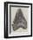 Tooth of a Gigantic Fossil Shark Found on the Coast of Malta-null-Framed Giclee Print