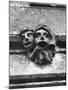 'Toothache' Gargoyles-null-Mounted Photographic Print