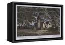 Canvas Black