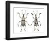 Top and Bottom View of Weevil Eupholus in the Curculionidae Family-Darrell Gulin-Framed Photographic Print