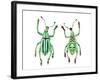 Top and Bottom View of Weevil Eupholus in the Curculionidae Family-Darrell Gulin-Framed Photographic Print