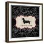 Top Dog III-Kate McRostie-Framed Art Print