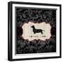 Top Dog III-Kate McRostie-Framed Art Print
