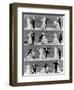 Top Hat, 1935-null-Framed Premium Photographic Print