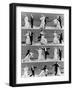 Top Hat, 1935-null-Framed Photographic Print