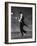 Top Hat, Fred Astaire, 1935-null-Framed Photo