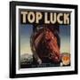 Top Luck Brand - San Fernando, California - Citrus Crate Label-Lantern Press-Framed Art Print