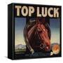 Top Luck Brand - San Fernando, California - Citrus Crate Label-Lantern Press-Framed Stretched Canvas