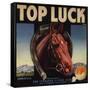 Top Luck Brand - San Fernando, California - Citrus Crate Label-Lantern Press-Framed Stretched Canvas