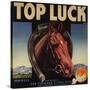 Top Luck Brand - San Fernando, California - Citrus Crate Label-Lantern Press-Stretched Canvas