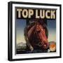 Top Luck Brand - San Fernando, California - Citrus Crate Label-Lantern Press-Framed Art Print