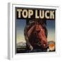 Top Luck Brand - San Fernando, California - Citrus Crate Label-Lantern Press-Framed Art Print