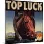 Top Luck Brand - San Fernando, California - Citrus Crate Label-Lantern Press-Mounted Art Print