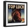 Top Luck Brand - San Fernando, California - Citrus Crate Label-Lantern Press-Framed Art Print