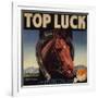 Top Luck Brand - San Fernando, California - Citrus Crate Label-Lantern Press-Framed Art Print