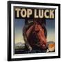 Top Luck Brand - San Fernando, California - Citrus Crate Label-Lantern Press-Framed Art Print