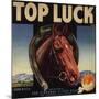 Top Luck Brand - San Fernando, California - Citrus Crate Label-Lantern Press-Mounted Art Print