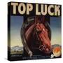 Top Luck Brand - San Fernando, California - Citrus Crate Label-Lantern Press-Stretched Canvas
