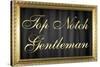 Top Notch Gentleman with Gilded Faux Frame Border-null-Stretched Canvas