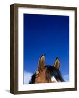 Top of a Horse's Head-Mitch Diamond-Framed Photographic Print