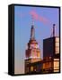 Top of Empire State Building at Pink Nightfall-Philippe Hugonnard-Framed Stretched Canvas