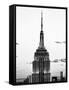 Top of Empire State Building, Manhattan, New York, United States, Black and White Photography-Philippe Hugonnard-Framed Stretched Canvas