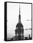 Top of Empire State Building, Manhattan, New York, United States, Black and White Photography-Philippe Hugonnard-Framed Stretched Canvas