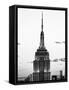 Top of Empire State Building, Manhattan, New York, United States, Black and White Photography-Philippe Hugonnard-Framed Stretched Canvas