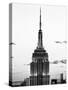 Top of Empire State Building, Manhattan, New York, United States, Black and White Photography-Philippe Hugonnard-Stretched Canvas