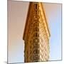 Top of Flatiron Building - Manhattan - New York City - United States-Philippe Hugonnard-Mounted Photographic Print