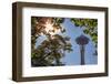 Top of Space Needle from Seattle's International Fountain Park, Seattle, Washington State, United S-Toms Auzins-Framed Photographic Print