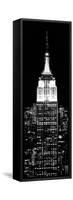 Top of the Empire State Building and One World Trade Center by Night, Manhattan, New York City-Philippe Hugonnard-Framed Stretched Canvas