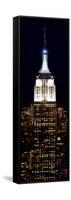 Top of the Empire State Building and One World Trade Center by Night, Manhattan, New York City-Philippe Hugonnard-Framed Stretched Canvas