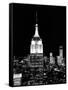 Top of the Empire State Building and One World Trade Center by Night, Manhattan, NYC-Philippe Hugonnard-Framed Stretched Canvas