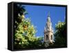 Top of the Giralda Framed by Orange Trees, Seville, Andalucia (Andalusia), Spain, Europe-Ruth Tomlinson-Framed Stretched Canvas