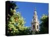Top of the Giralda Framed by Orange Trees, Seville, Andalucia (Andalusia), Spain, Europe-Ruth Tomlinson-Stretched Canvas
